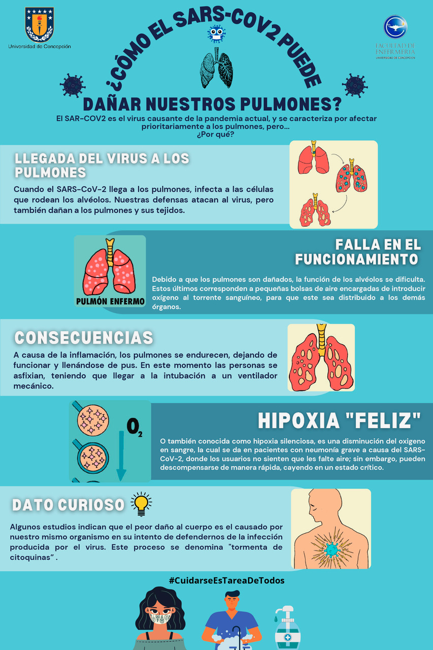 ¿Cómo el SARS-CoV2 puede dañar nuestros pulmones?