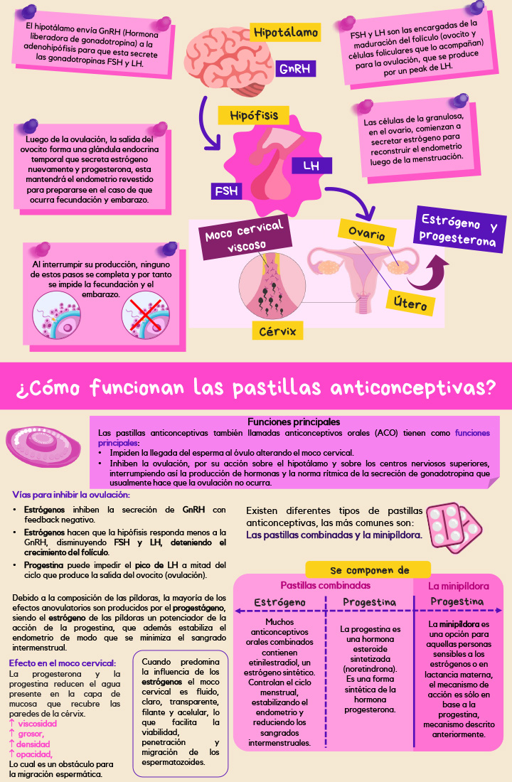 ¿Cómo funcionan las pastillas anticonceptivas?