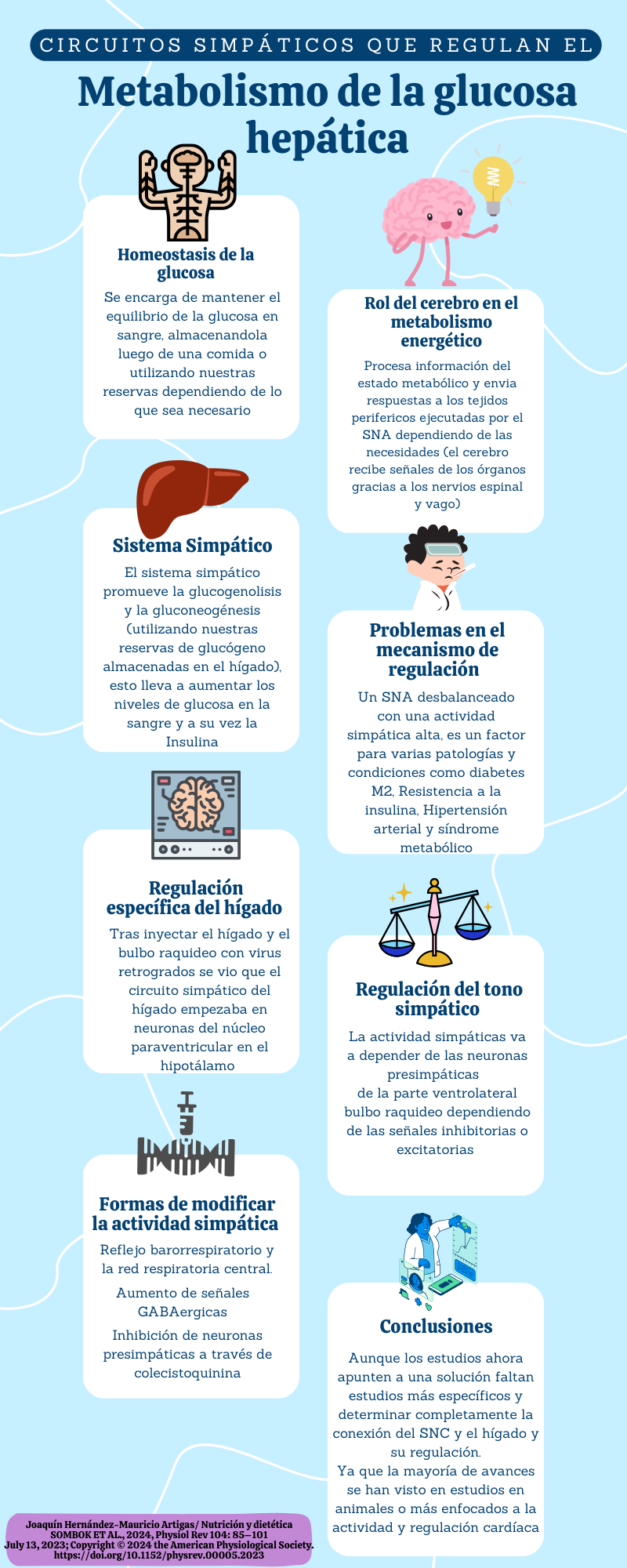 Sistema Nervioso Simpático y Glucosa
